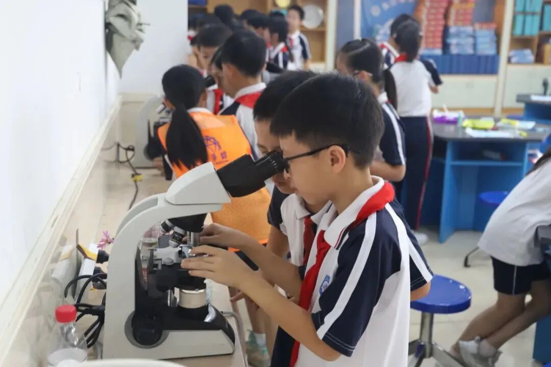 研学工作坊——探秘果实与种子